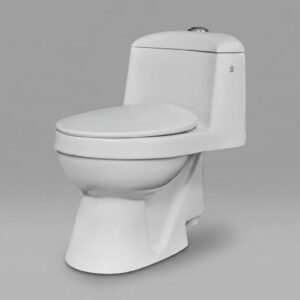 CL-201 One-Piece Ceramic Water Closet (710x425mm)