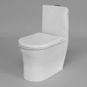 CL-205 One-Piece Ceramic Water Closet (670x390mm)