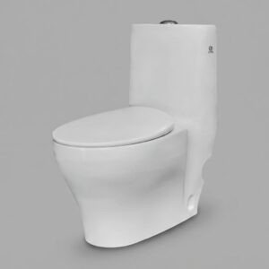 CL-209 One-Piece Ceramic Water Closet (685x375mm)