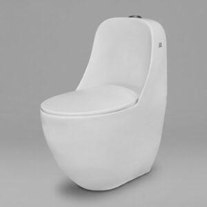 CL-210 One-Piece Ceramic Toilet (700x390x780mm), white & ivory